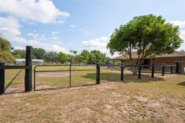 39427 Comstock Ln, Zephyrhills, FL 33540 - view of yard