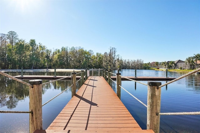 view of dock with a water view