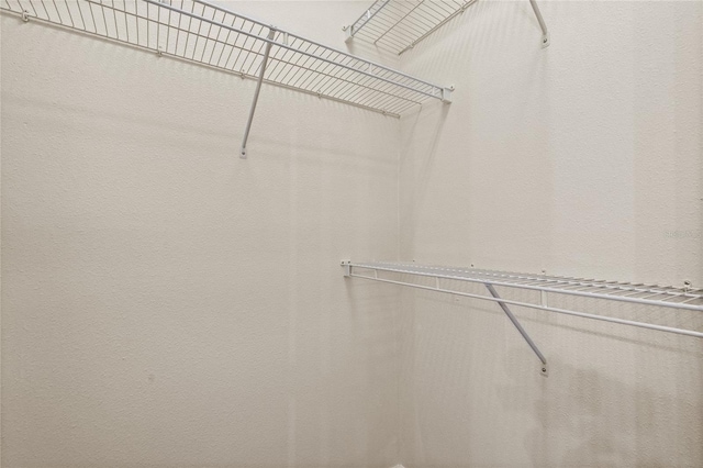 20221 Vintage Oaks Pl, Tampa, FL 33647 - view of walk in closet