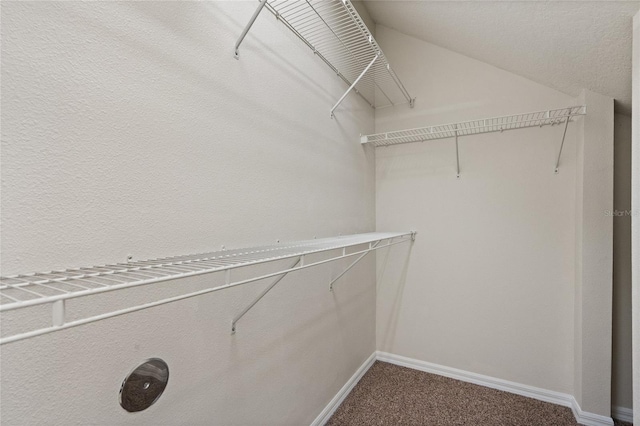 20221 Vintage Oaks Pl, Tampa, FL 33647 - walk in closet featuring carpet floors