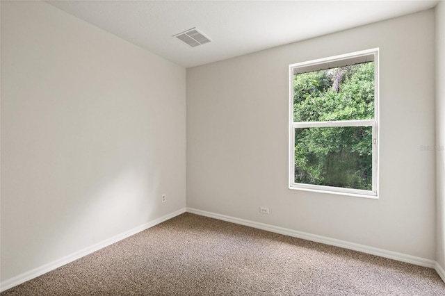 20221 Vintage Oaks Pl, Tampa, FL 33647 - empty room featuring carpet floors and baseboards