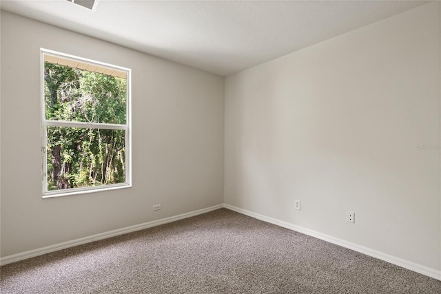 20221 Vintage Oaks Pl, Tampa, FL 33647 - carpeted empty room with baseboards