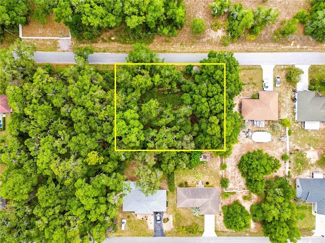 3910 E Scotty St, Inverness, FL 34453