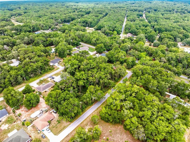 3910 E Scotty St, Inverness, FL 34453