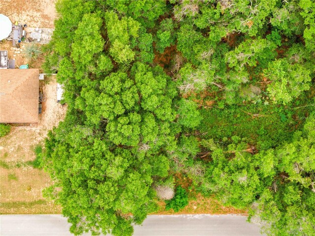 3910 E Scotty St, Inverness, FL 34453