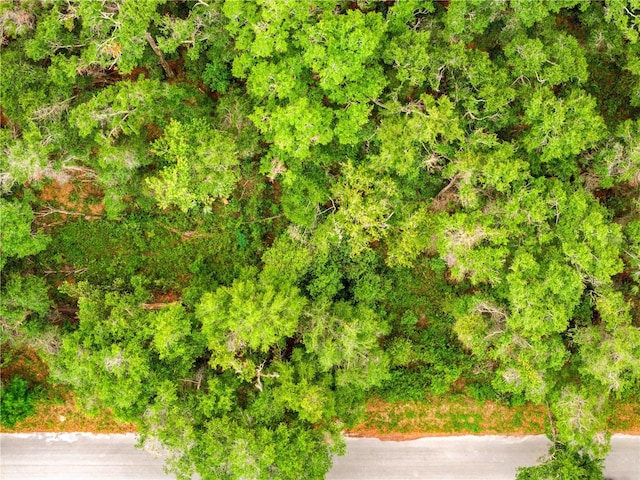 3910 E Scotty St, Inverness, FL 34453