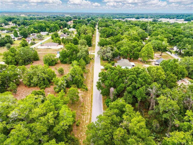 3910 E Scotty St, Inverness, FL 34453