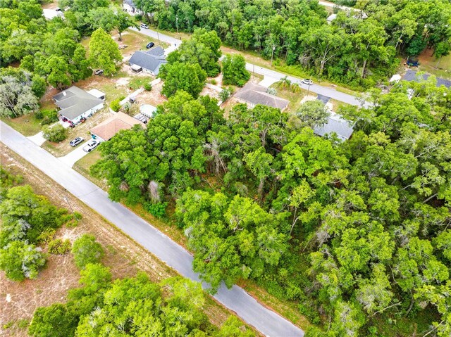 3910 E Scotty St, Inverness, FL 34453