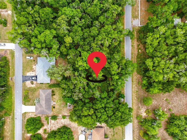 3910 E Scotty St, Inverness, FL 34453