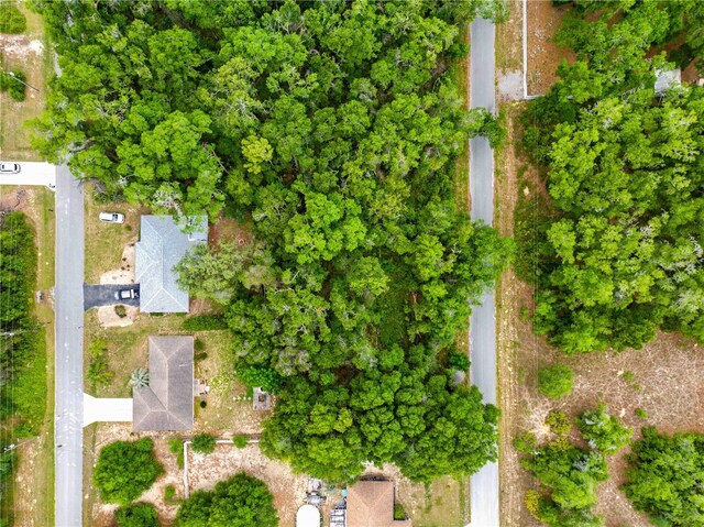 3910 E Scotty St, Inverness, FL 34453