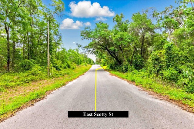 3910 E Scotty St, Inverness, FL 34453