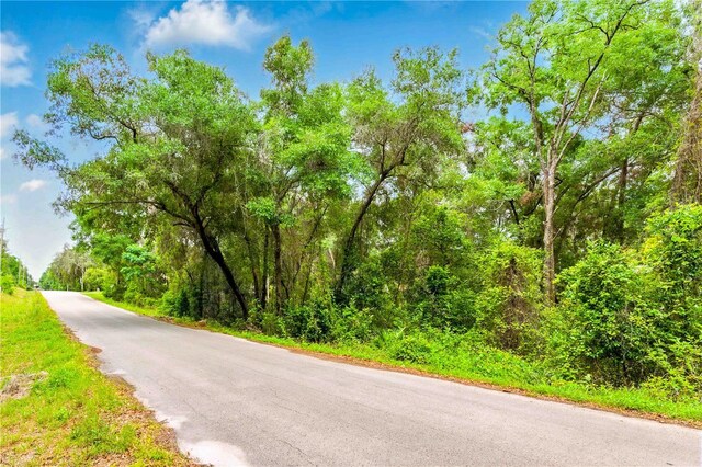 3910 E Scotty St, Inverness, FL 34453