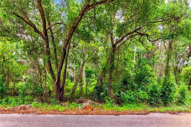 3910 E Scotty St, Inverness, FL 34453