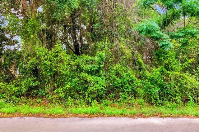 3910 E Scotty St, Inverness, FL 34453