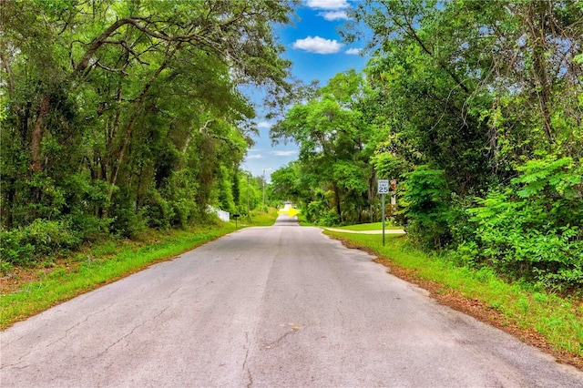 3910 E Scotty St, Inverness, FL 34453