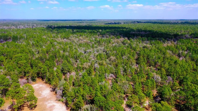 7137 W Sunmar Sample Ln, Dunnellon, FL 34433 - photo 3
