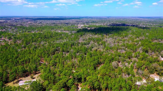 7137 W Sunmar Sample Ln, Dunnellon, FL 34433 - photo 7