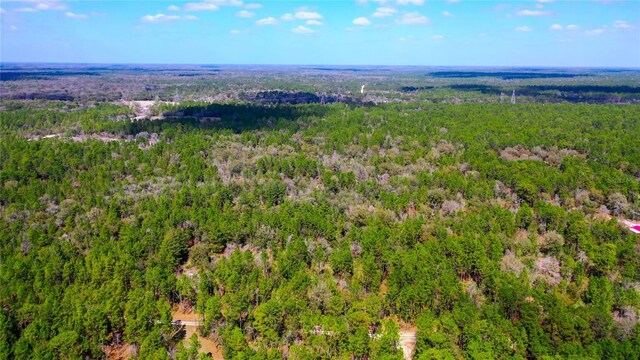 7137 W Sunmar Sample Ln, Dunnellon, FL 34433 - photo 8