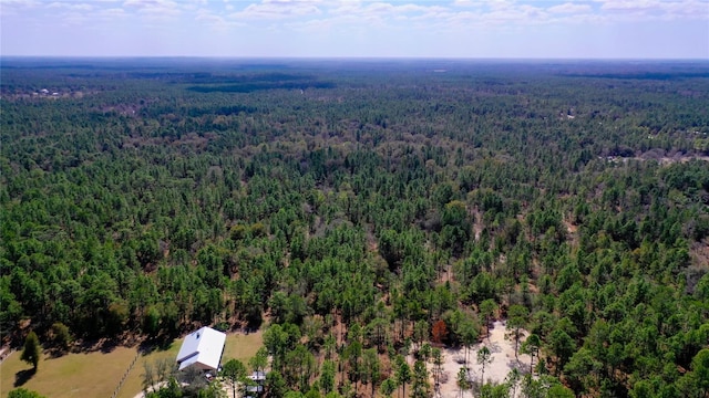 7137 W Sunmar Sample Ln, Dunnellon, FL 34433 - photo 10