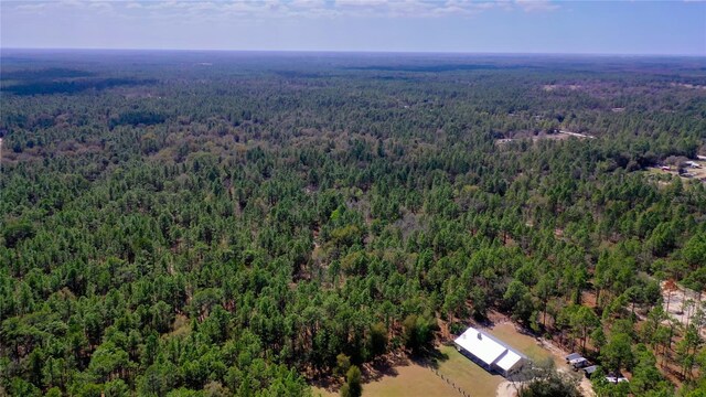 7137 W Sunmar Sample Ln, Dunnellon, FL 34433 - photo 11