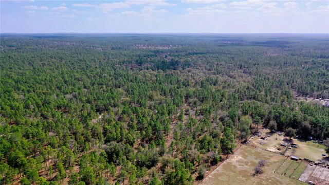 7137 W Sunmar Sample Ln, Dunnellon, FL 34433 - photo 12