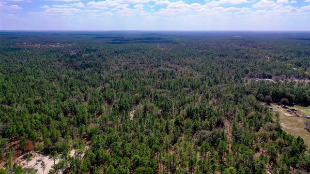 7137 W Sunmar Sample Ln, Dunnellon, FL 34433 - photo 13
