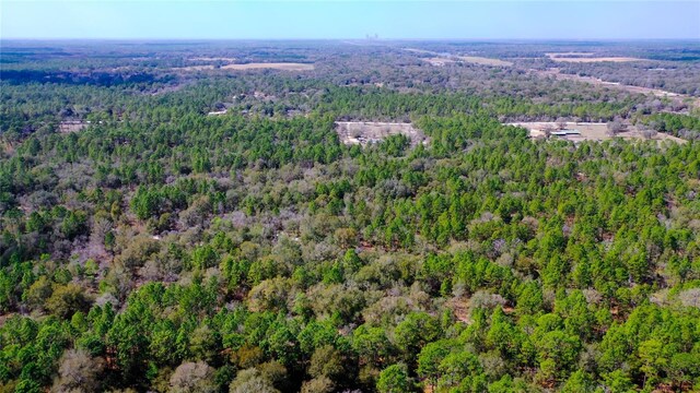 7137 W Sunmar Sample Ln, Dunnellon, FL 34433 - photo 14