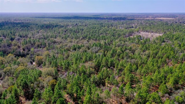 7137 W Sunmar Sample Ln, Dunnellon, FL 34433 - photo 15