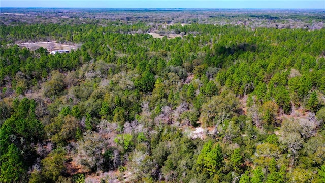 7137 W Sunmar Sample Ln, Dunnellon, FL 34433 - photo 17