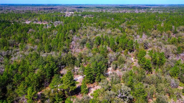 7137 W Sunmar Sample Ln, Dunnellon, FL 34433 - photo 18