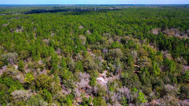 7137 W Sunmar Sample Ln, Dunnellon, FL 34433 - photo 19