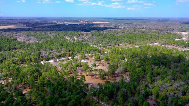 7137 W Sunmar Sample Ln, Dunnellon, FL 34433 - photo 22