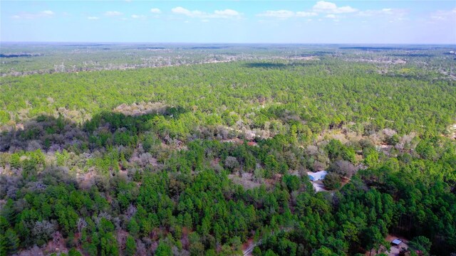 7137 W Sunmar Sample Ln, Dunnellon, FL 34433 - photo 23