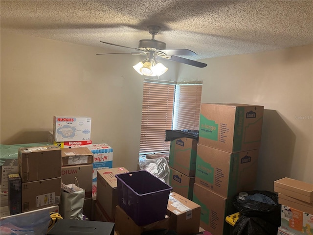 storage featuring ceiling fan