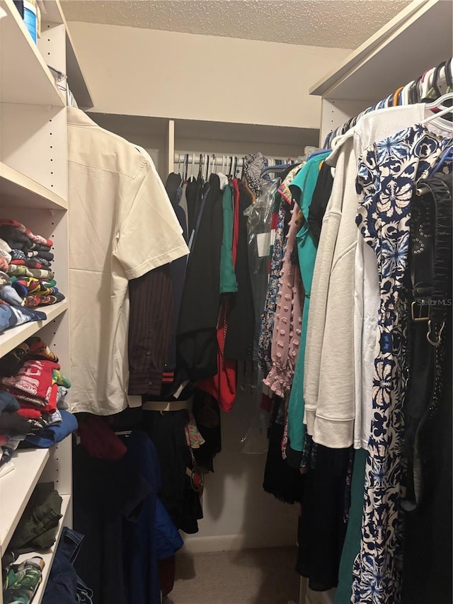walk in closet featuring carpet floors