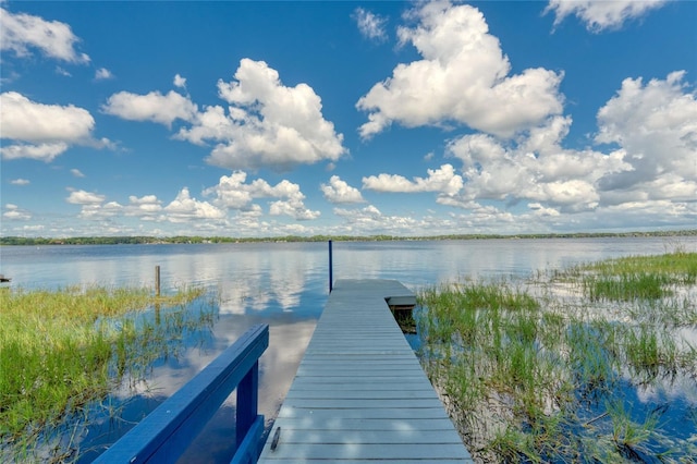 297 Lakeview Dr, Tarpon Springs, FL 34689 - dock area with a water view
