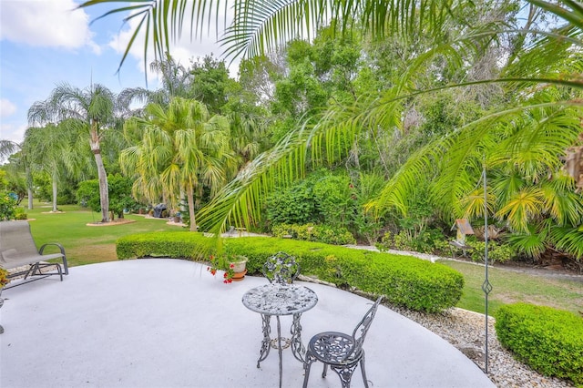 view of property's community with a patio area