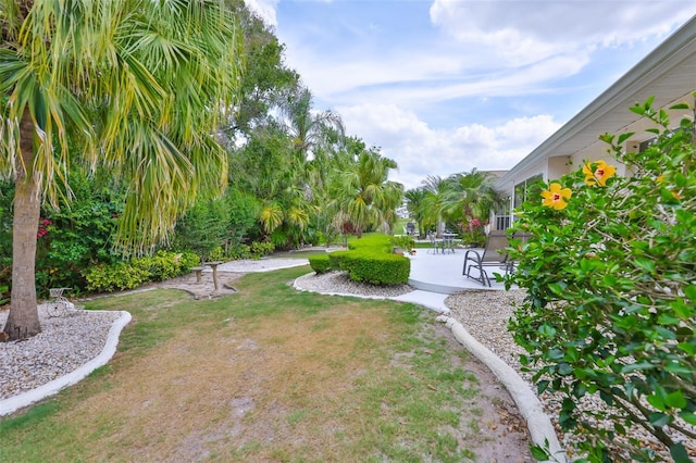 view of yard featuring a patio area