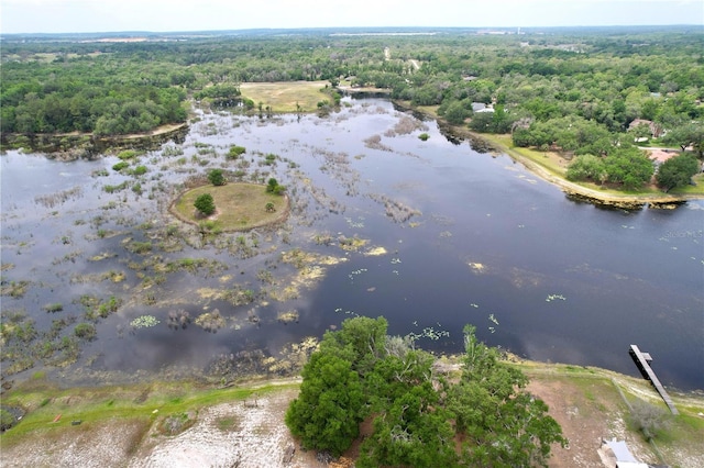 5058 Westlake Blvd, Dade City, FL 33523 - view of property location with a forest and a nearby body of water
