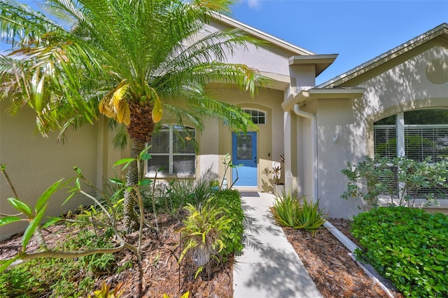doorway to property featuring stucco siding