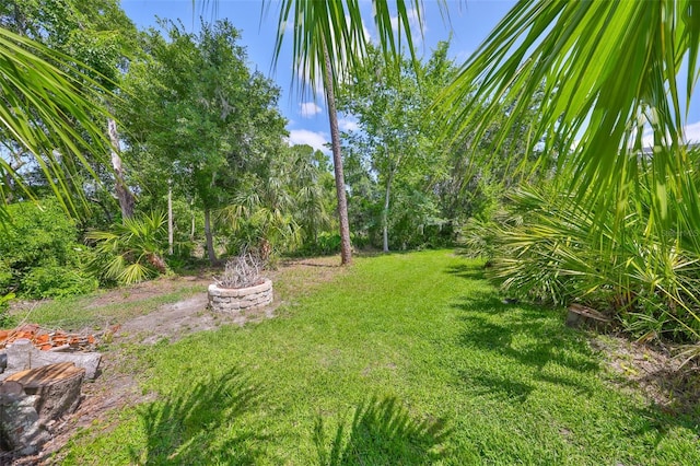 view of yard featuring an outdoor fire pit