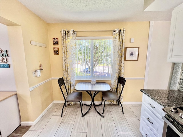 dining room with baseboards, wood tiled floor, and a textured ceiling