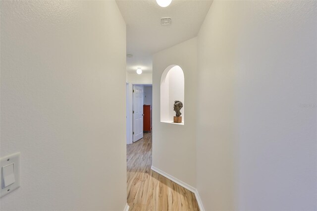 6332 35th Avenue Cir E, Palmetto, FL 34221 - hall with light wood finished floors and baseboards
