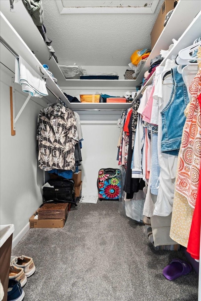 walk in closet with carpet floors
