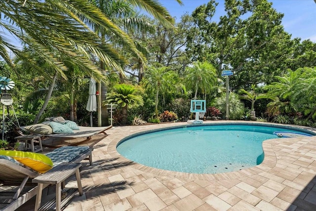 outdoor pool featuring a patio and view of wooded area