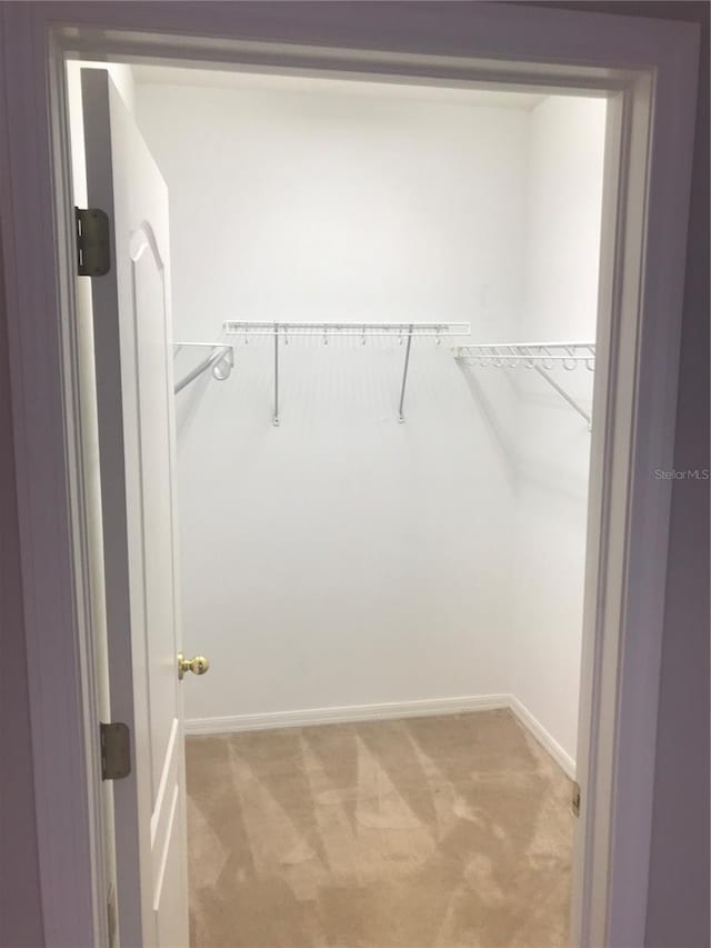 walk in closet with light carpet