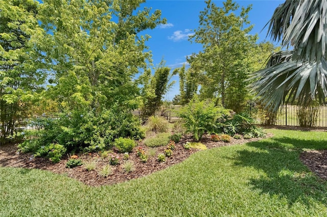 6507 Maiden Sea Dr, Apollo Beach, FL 33572 - view of yard with fence