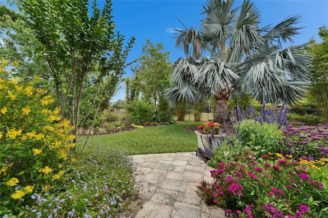 6507 Maiden Sea Dr, Apollo Beach, FL 33572 - view of yard featuring fence and a patio area