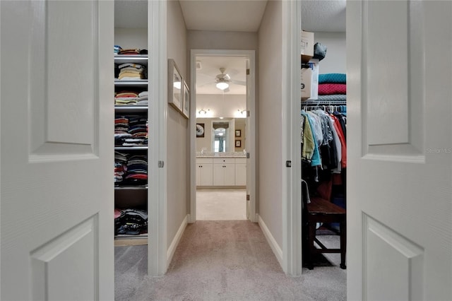 6507 Maiden Sea Dr, Apollo Beach, FL 33572 - spacious closet featuring ceiling fan and carpet flooring