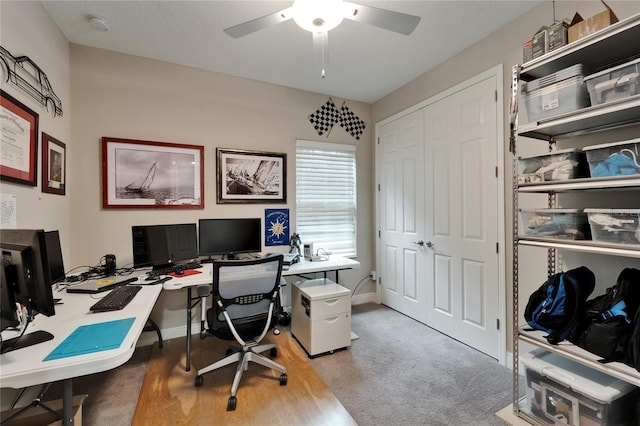 6507 Maiden Sea Dr, Apollo Beach, FL 33572 - office with ceiling fan and baseboards